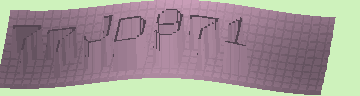 確認代碼